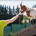 Hlavní město dětí najdete na Slovensku. Foto: ©Donovalkovo