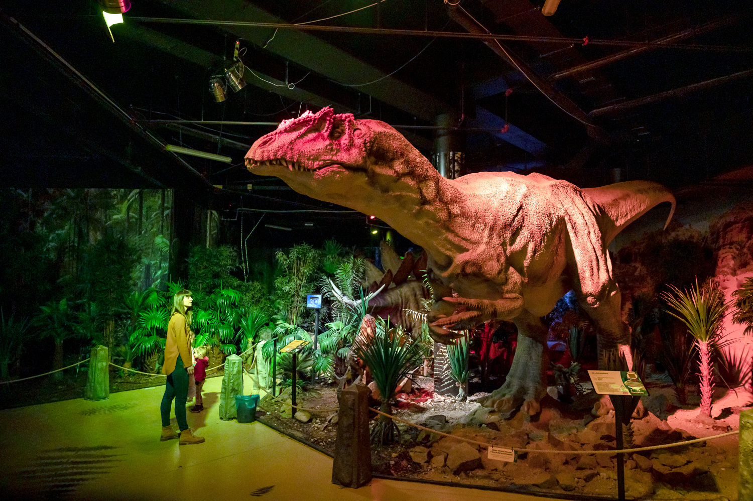 DinoPark Liberec. Foto: ©DinoPark