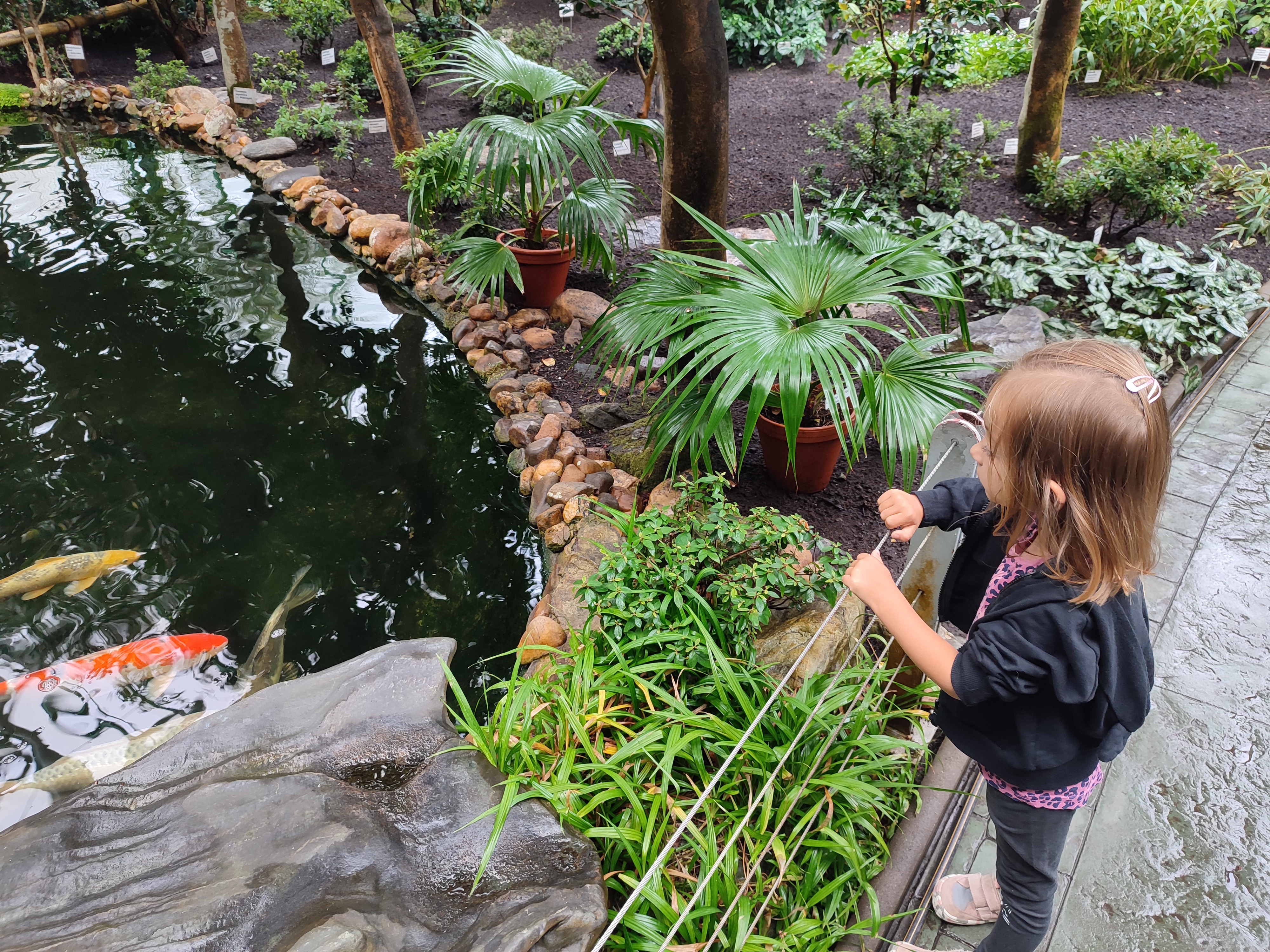Botanická zahrada v Liberci ukáže mnoho přírodních krás. Najdete tu Nema, masožravky i bonsaje