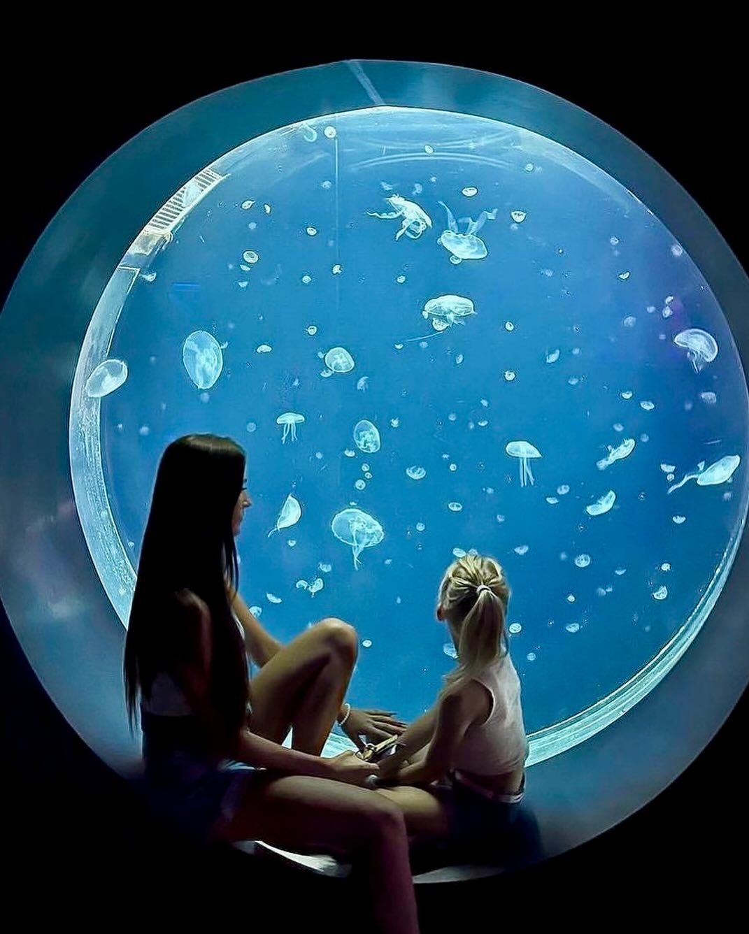 Foto: ©Svět medúz