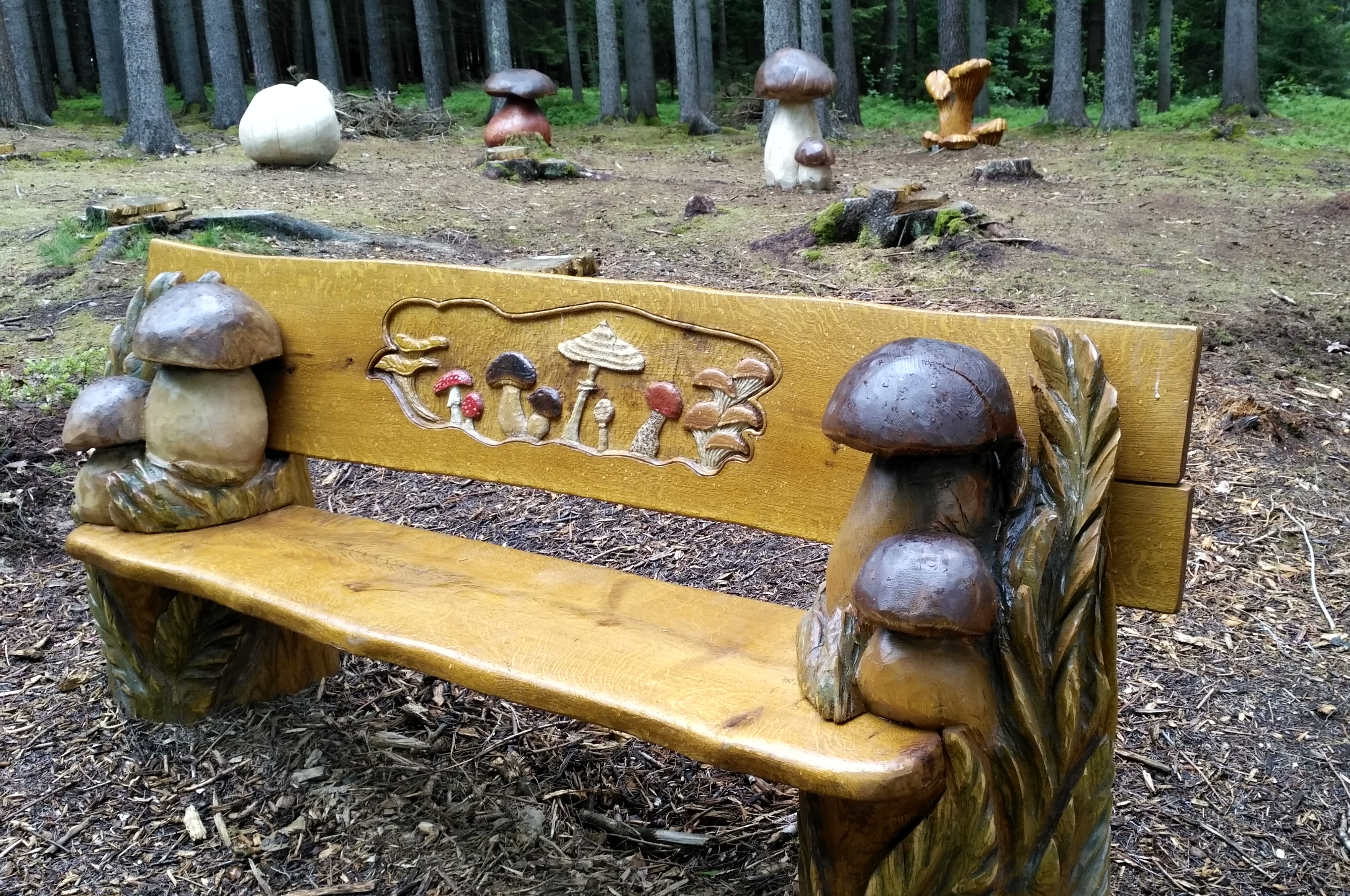 Obří brouci, houby a plazí příšery. Stezka příběhů lesa pod Sluneční strání u Svitav zve malé i velké na dobrodružství