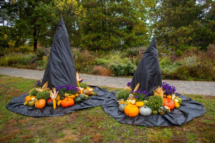 Foto: ©Botanická zahrada Praha