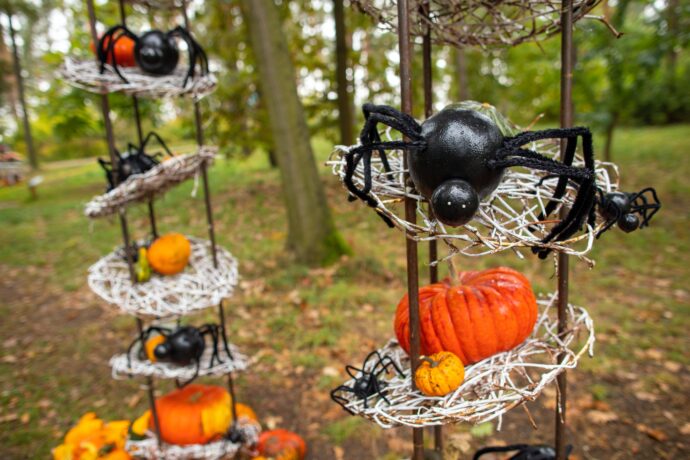 Foto: ©Botanická zahrada Praha