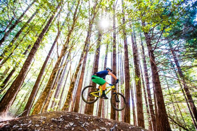 Singletracky. Foto: ©Leslie Kehmeier, Flicker