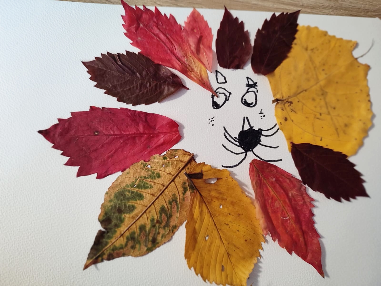 Zvířátka z listí. Foto: © Foto se svolením Lucie Stříbrná