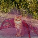 Monstra ze skicáku . Foto: ©Continental film