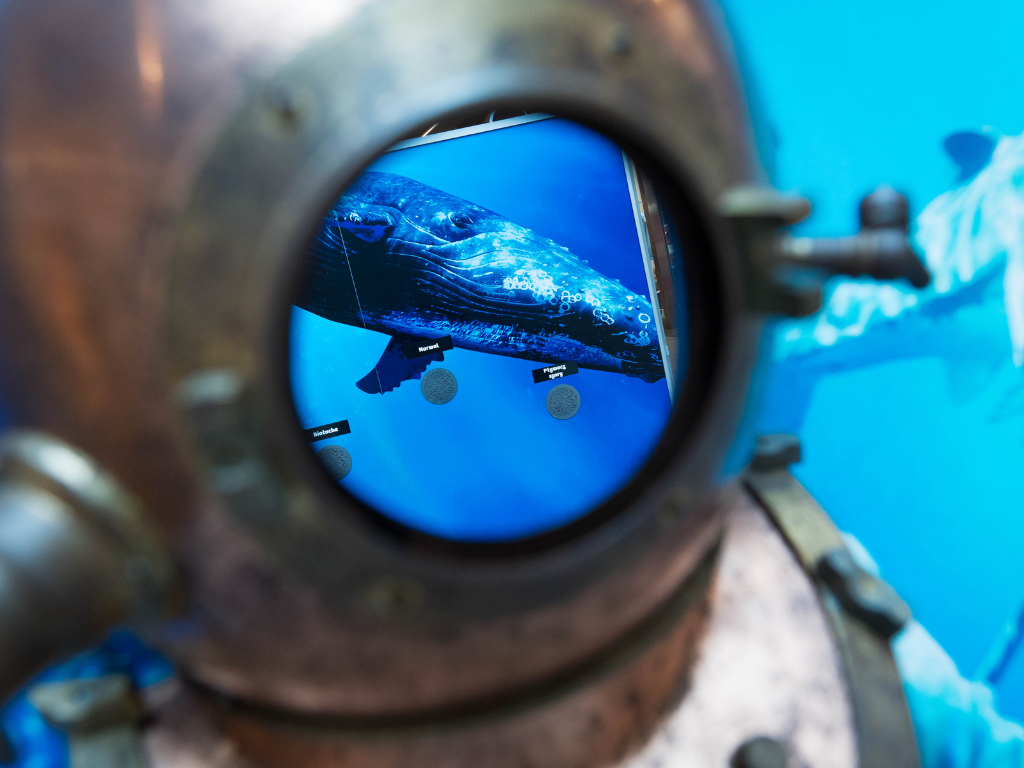 Obři oceánů. Foto: ©Shake Exhibitions