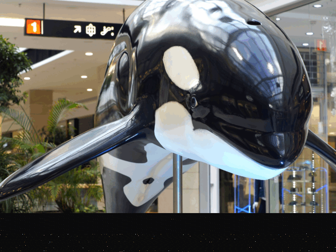 Obři oceánů. Foto: ©Shake Exhibitions