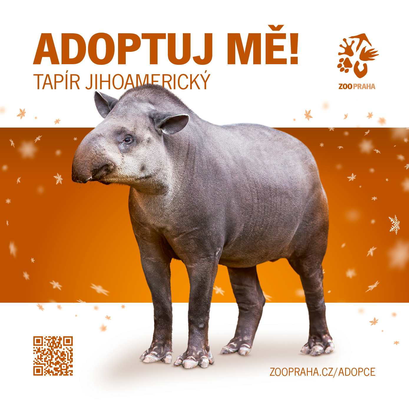 Tapír jihoamerický. Zvířecí sirotci Zoo Praha 2025. Zdroj Zoo Praha