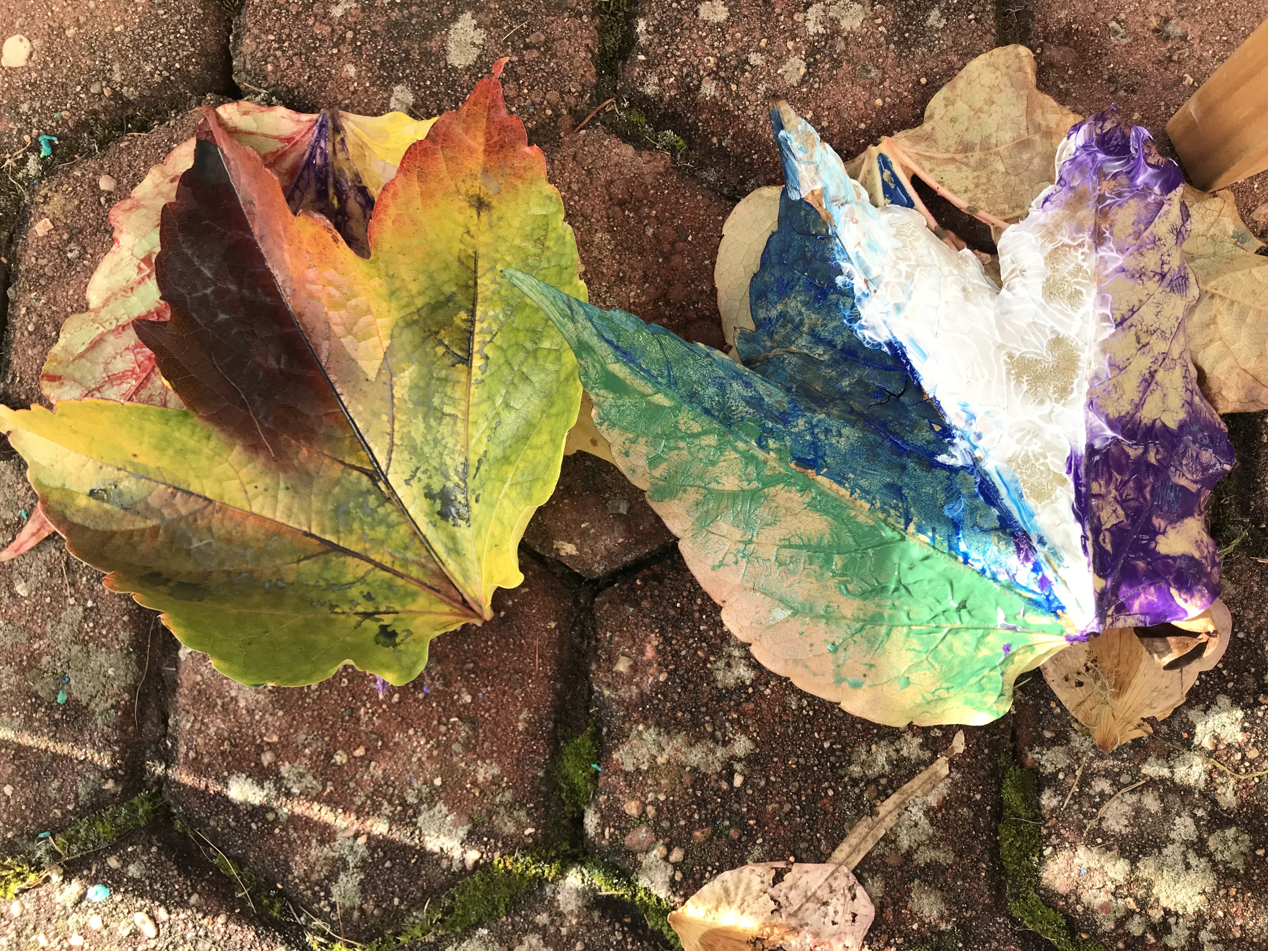 Barvení listů - klasika, která nestárne. Foto: ©Šárka Kobrynová