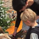 Příroda pod peřinou. Foto: ©Regionální muzeum Mělník