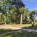 Foto: ©Zámecký park Petrohrad