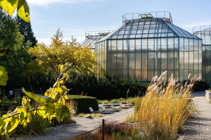 Foto: ©Botanická zahrada Liberec