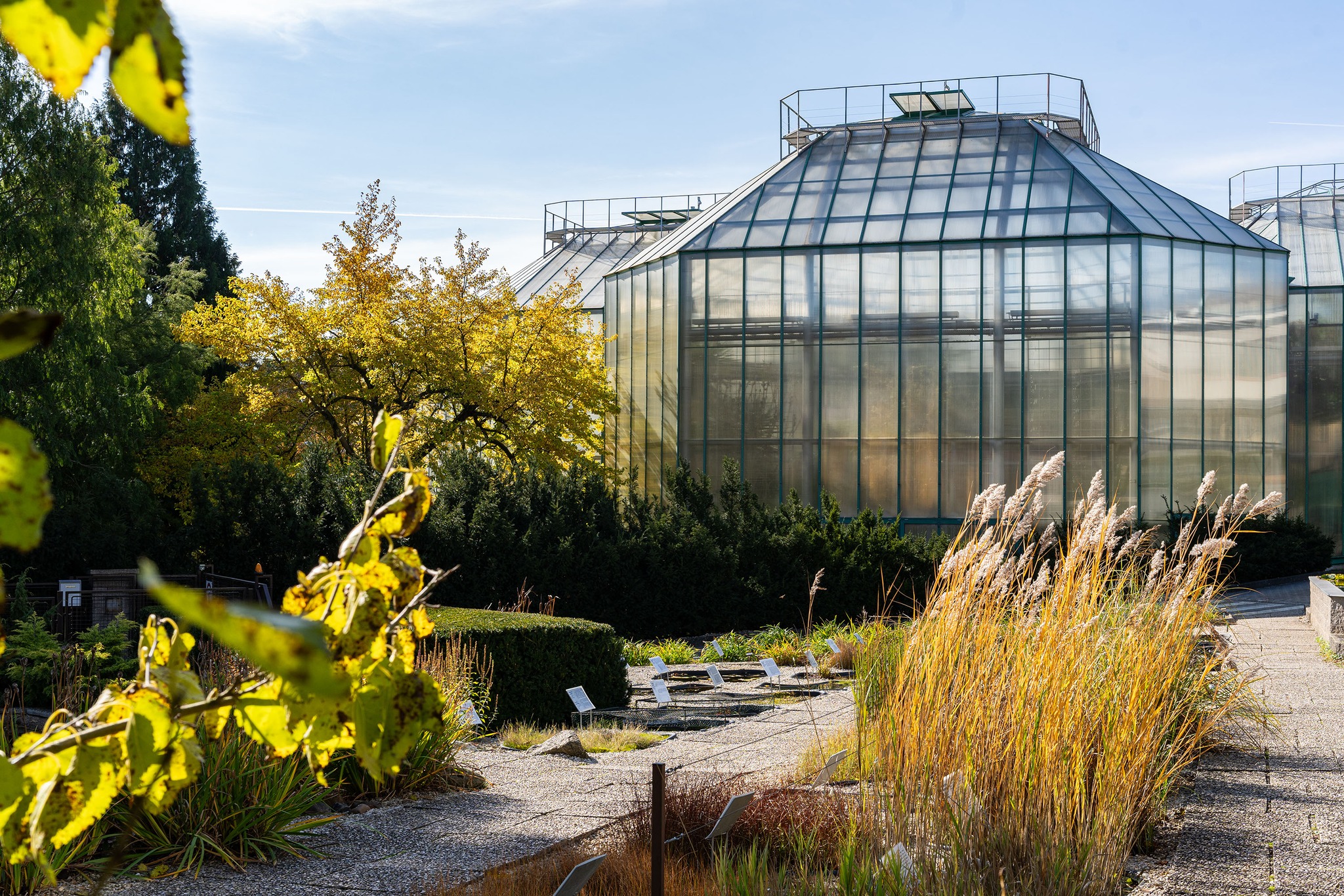 Foto: ©Botanická zahrada Liberec