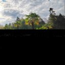 Foto: ©Botanická zahrada Liberec