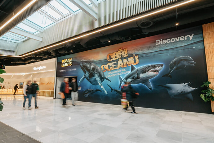 Obři oceánů. Foto: ©Shake Exhibitions
