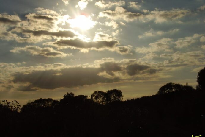 Březová – Oleško