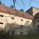 Buzice