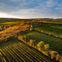 Foto: © Osada havranů