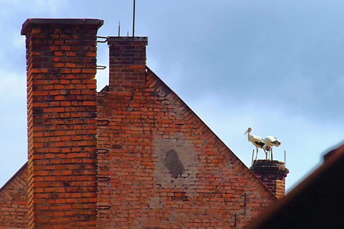 Domašov nad Bystřicí