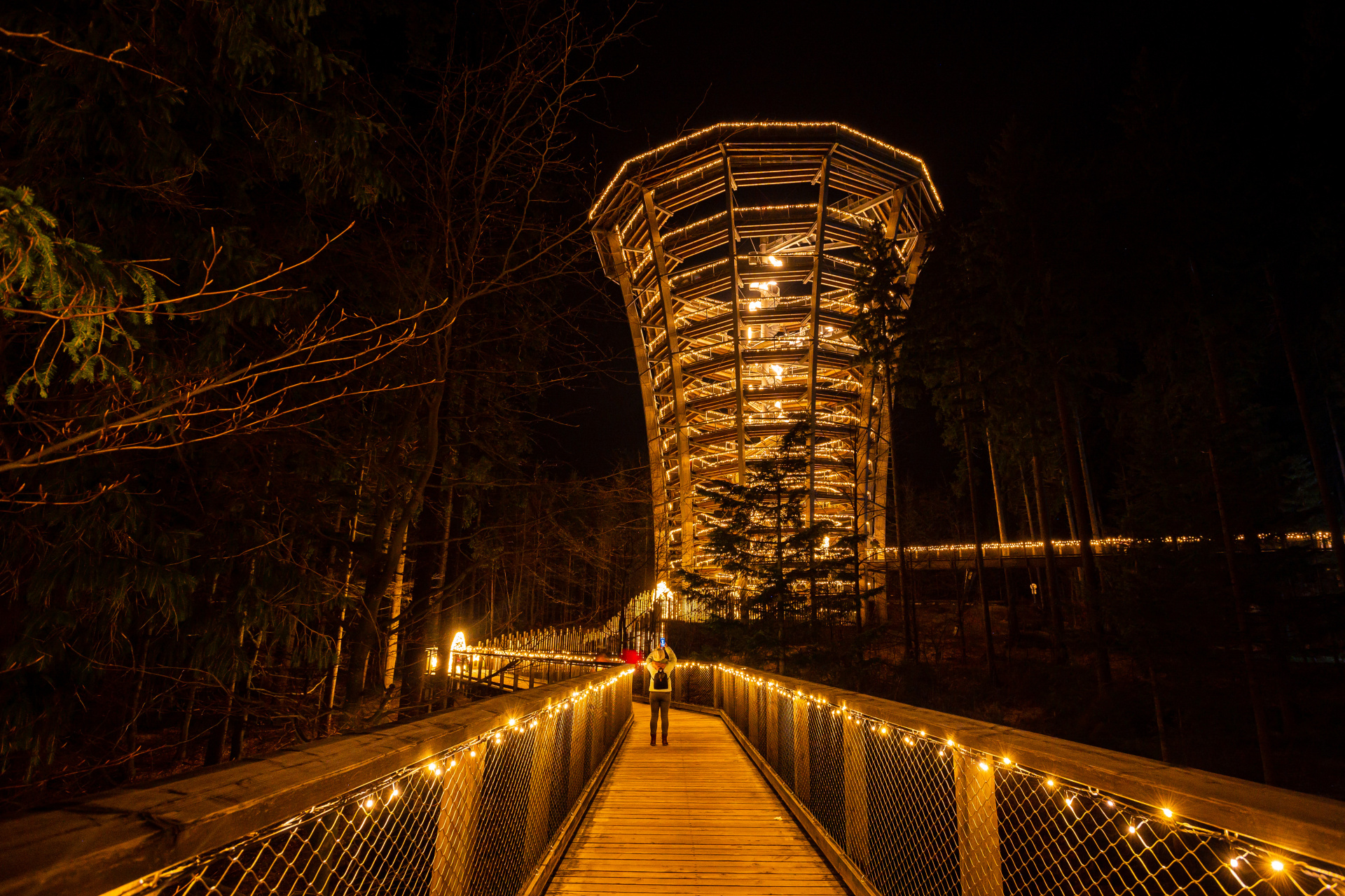 Stezka korunami stromů Krkonoše, Foto: © Stezka korunami stromů Krkonoše/Decoled