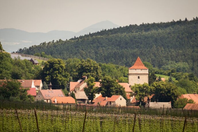 Vinařice