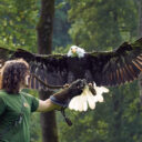 Obora Žleby, Foto: © Obora Žleby