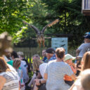 Obora Žleby, Foto: © Obora Žleby