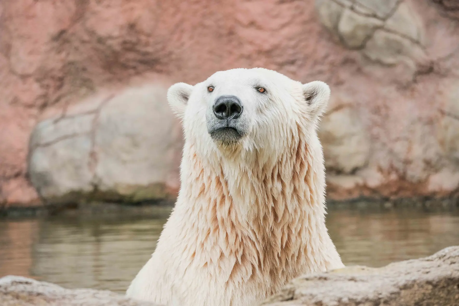 Zoo Brno, Foto: © Zoo Brno