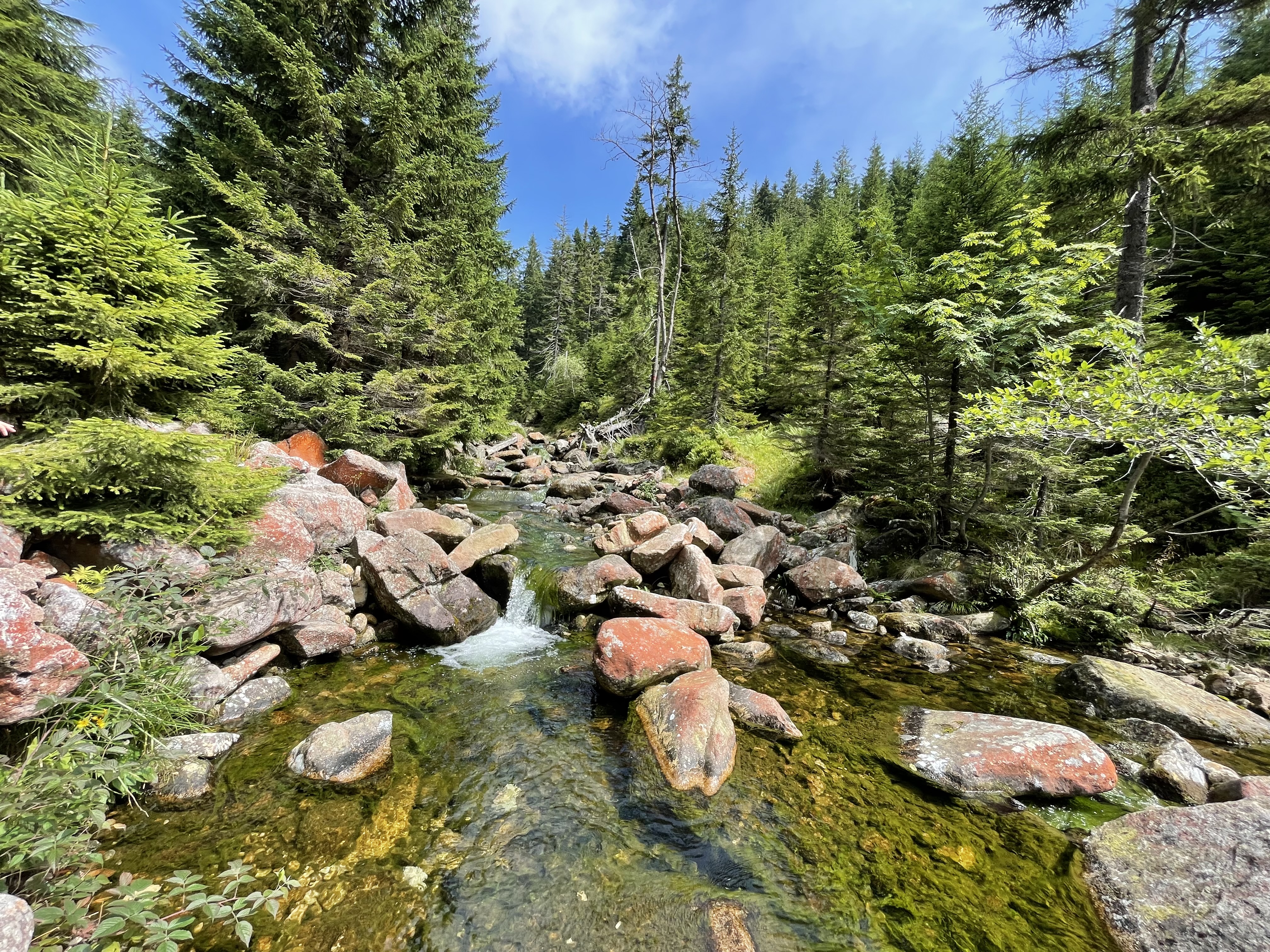 Čertova strouha, Špindlerův Mlýn. Foto: ©Michael Kolář