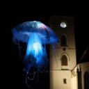 Vodňanské rybářské dny, Foto: © Karel Burda