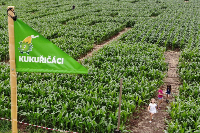 Foto: ©Kukuřičáci