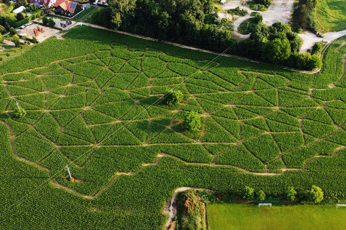 Kukuřičáci — největší bludiště v ČR. Foto: ©Kukuřičáci