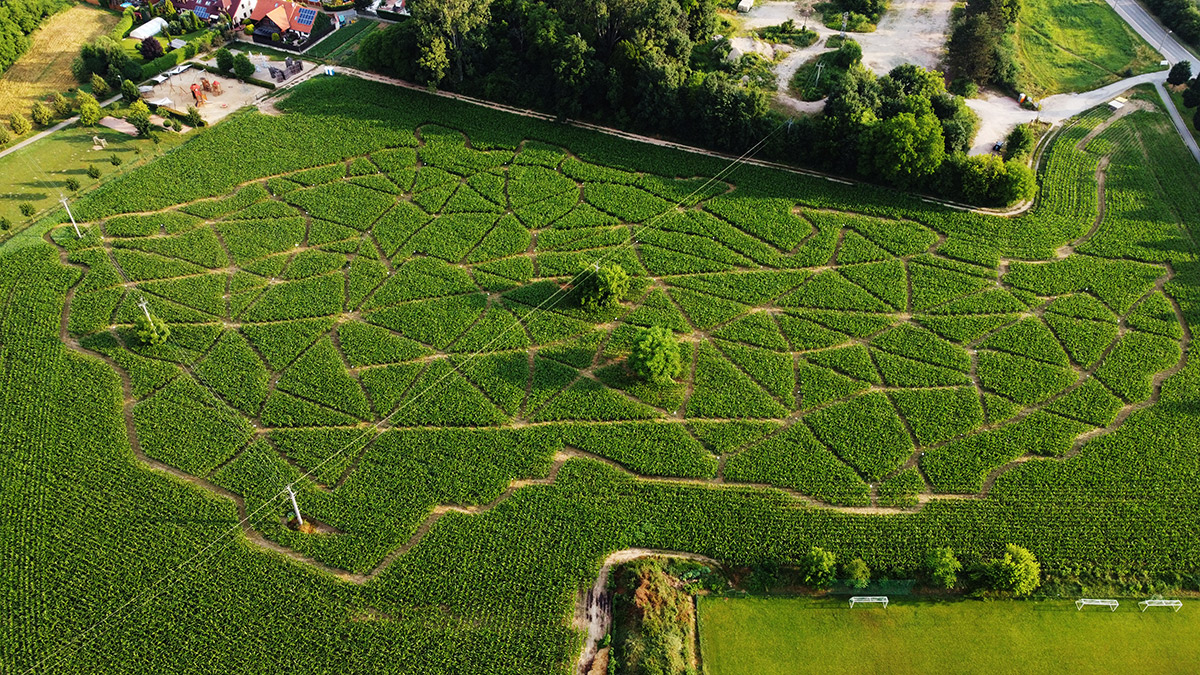 Kukuřičáci — největší bludiště v ČR. Foto: ©Kukuřičáci