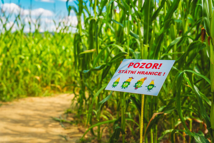 Foto: ©Kukuřičáci
