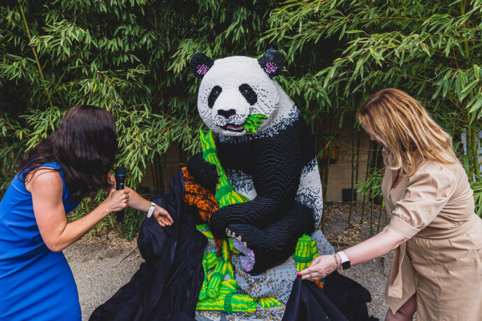 LEGO Panda v zoo Praha, Foto: © LEGO